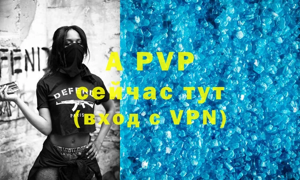 индика Алексин