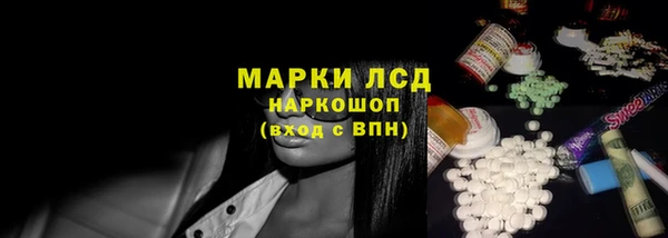 индика Алексин