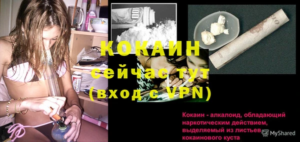 молекула духа Алзамай