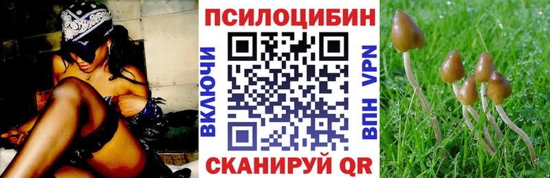 darknet формула  Чкаловск  Галлюциногенные грибы ЛСД  наркота 